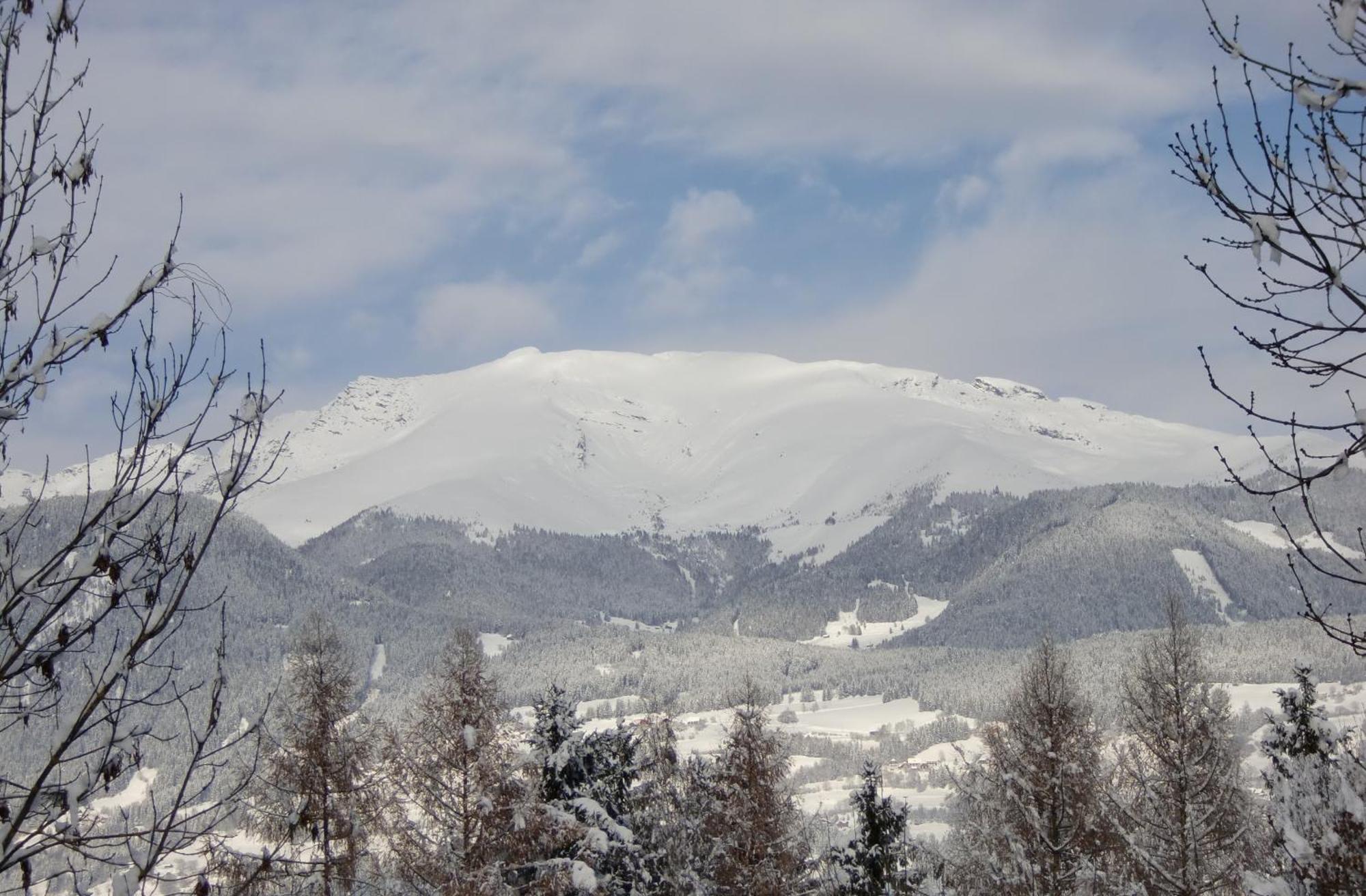 Gasthof-Pension Reidnwirt Baldramsdorf Екстериор снимка